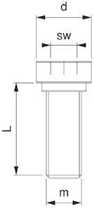 Inbus Bolt for Fixing M10 x 29 For SC-10
